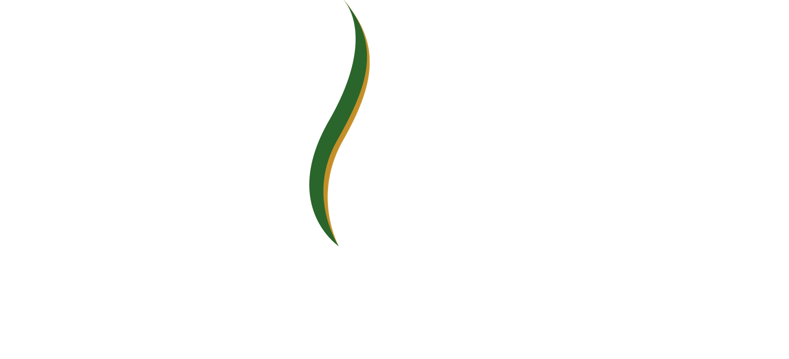 Mira Concept Hair